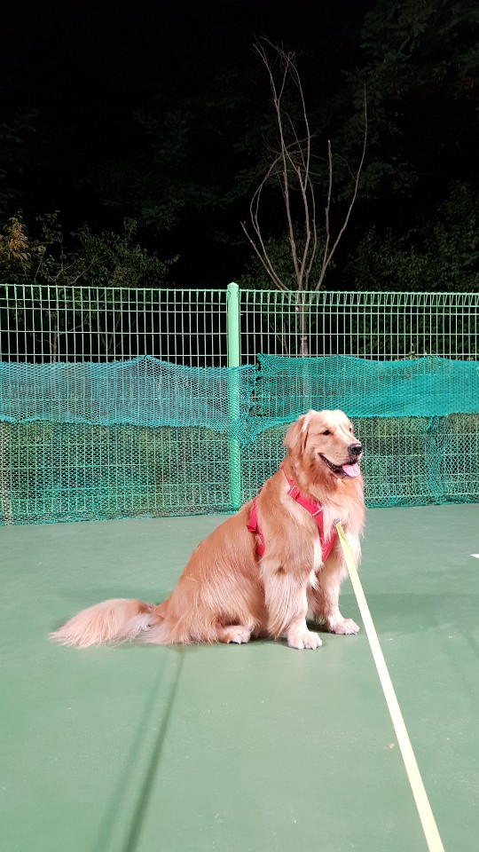  땅강아지가 강아지를 만났을 때! 땅강아지를 아시나요?