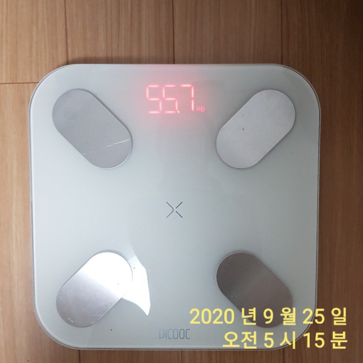  0925 다이어트 식단조절 (내가먹은것)
