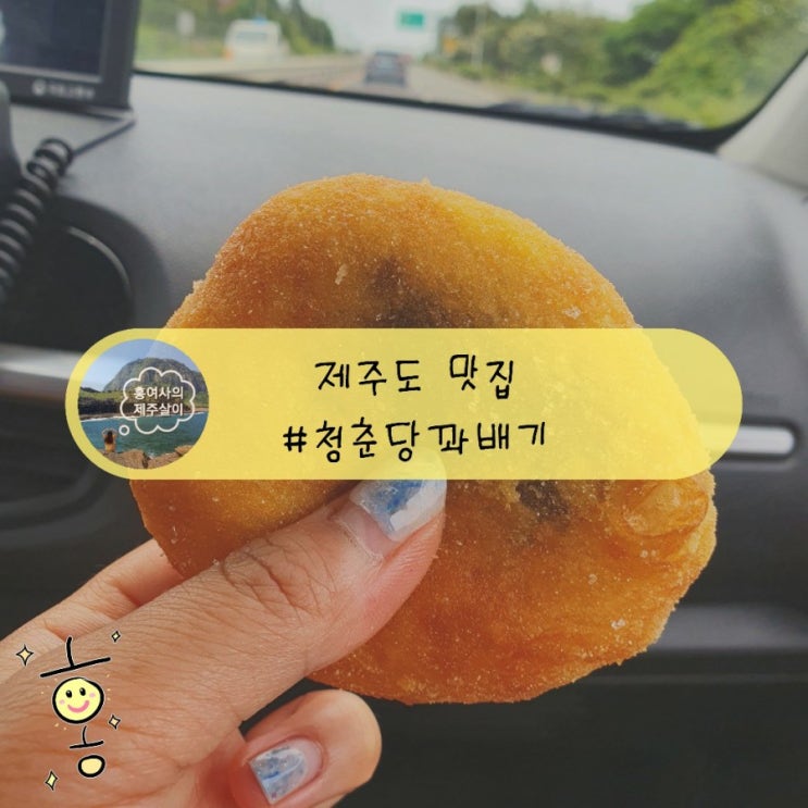 「제주」 디저트 맛집 청춘당꽈배기, 차에서 간식으로 먹기 좋음! 「제주」 디저트 맛집 청춘당꽈배기, 차에서 간식으로 먹기 좋음!