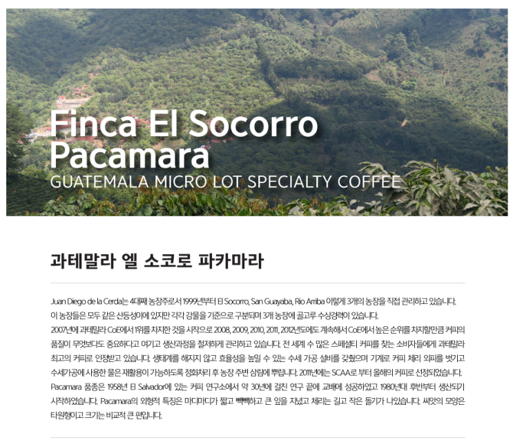  [Specialty]Guatemala Finca El Socorro Pacamara