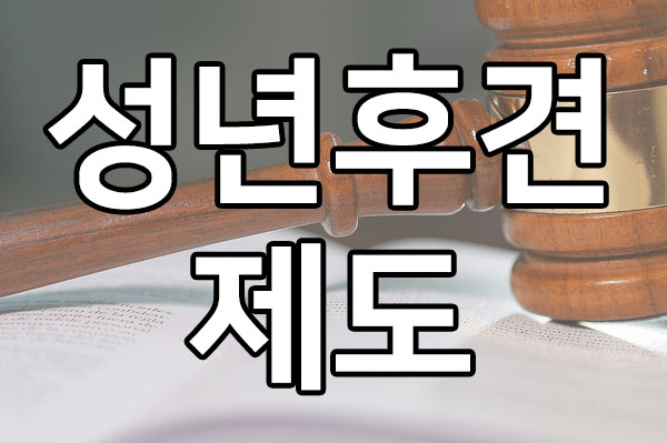  성년 후견인 제도가 필요한 경우와 절차 알아보기