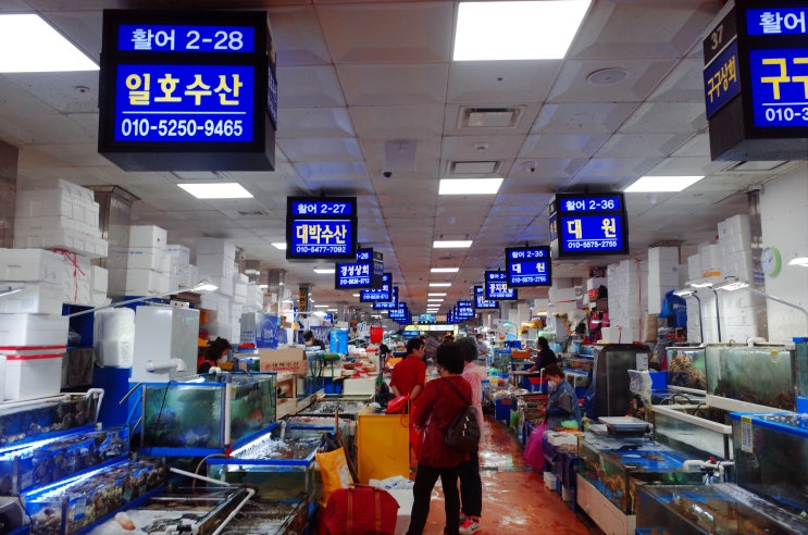  노량진 전어 횟집 경성상회