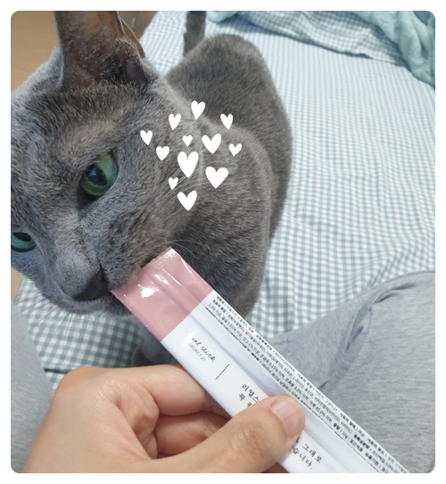 프로젝트21 리얼스틱 / 짜먹는 고양이 츄르 간식 - 입맛 까다로운 고양이가 먹은 후기