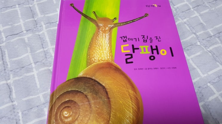  5,7세 남매 독서 (2020.8.24~8.30)