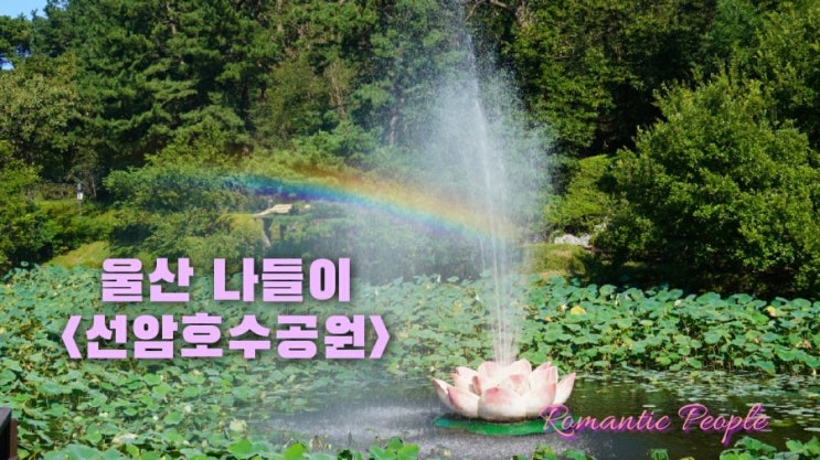 울산 나들이<선암호수공원> 울산 나들이<선암호수공원>