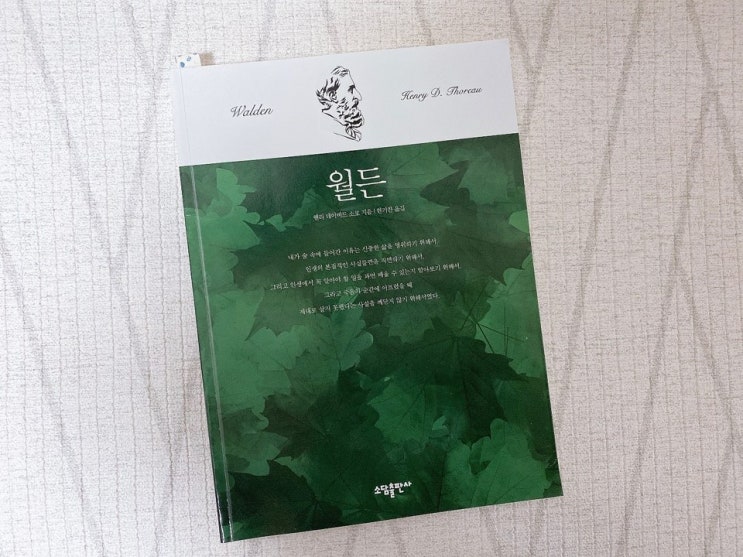  수필 문학 ‘월든’ 헨리 데이비드 소로 : 소담출판사