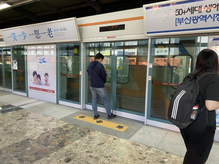 남자 평균 키와 진화심리학적 호감도 남자 평균 키와 진화심리학적 호감도