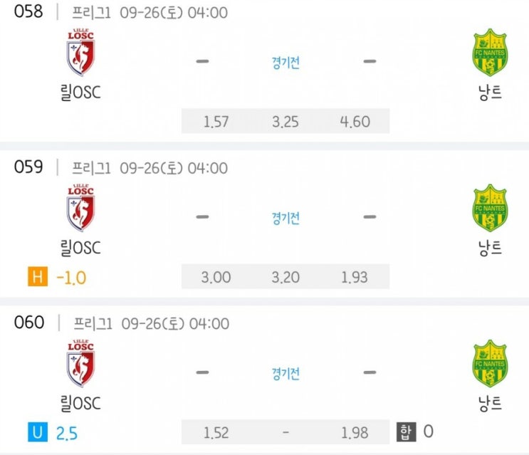 2020.09.25 리그앙 프랑스 리그1 릴OSC 낭트 2020.09.25 리그앙 프랑스 리그1 릴OSC 낭트