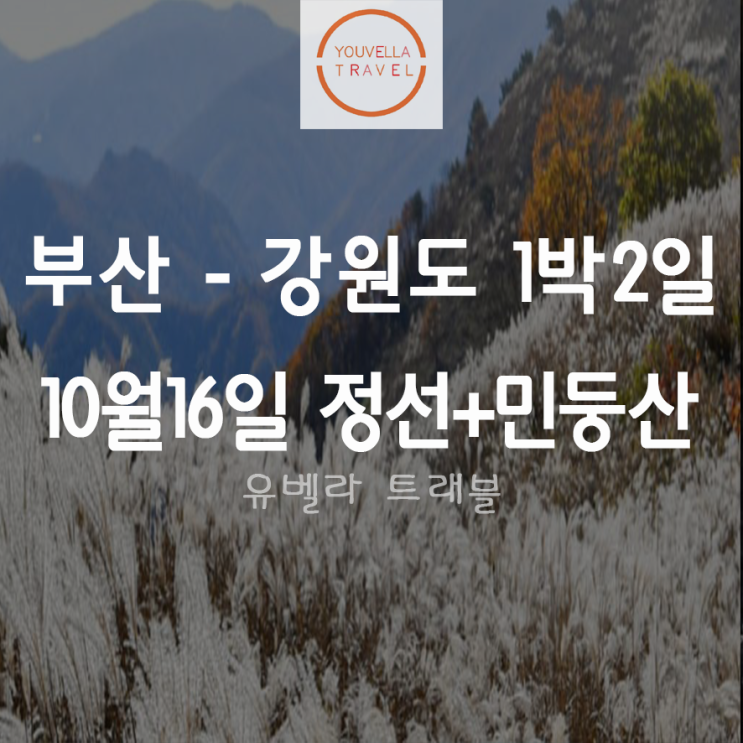  [부산출발] 강원도 정선 민둥산 억새꽃 트레킹 1박2일 여행