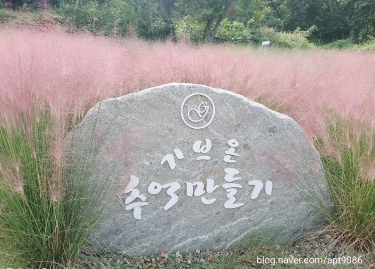  카페 기브온/대구현풍구지면/핑크뮬리카페/루프탑