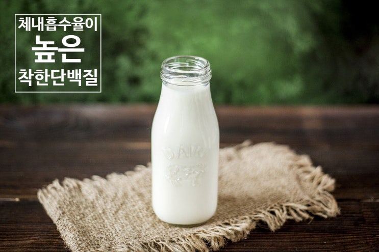  채내 흡수율이 높은 면역력에 좋은 착한 단백질은