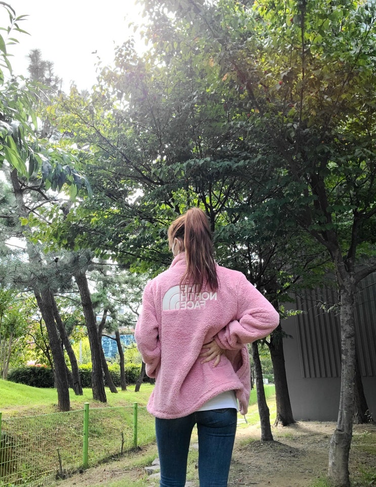 노스페이스 컴피 플리스 집업 NJ4FL58L L사이즈 노스페이스 컴피 플리스 집업 NJ4FL58L L사이즈