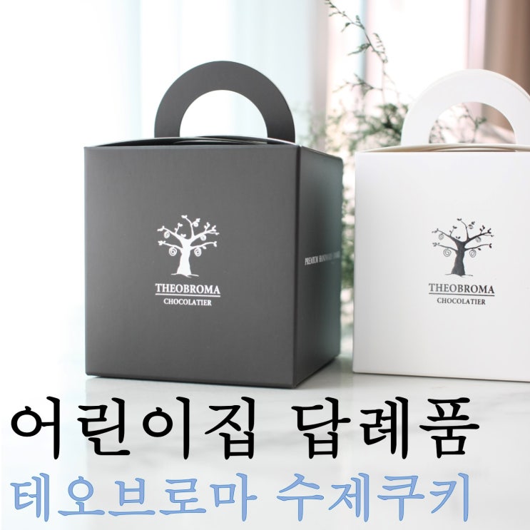  수제쿠키 어린이집간식선물로 좋은 테오브로마 초콜릿 수제쿠키