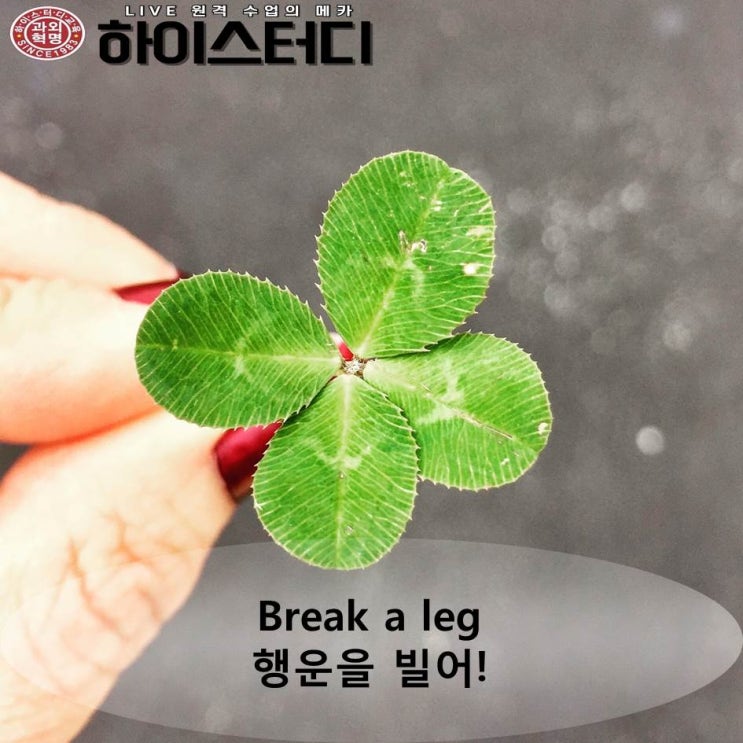  [하이스터디]하루영어표현 -행운을 빌어-