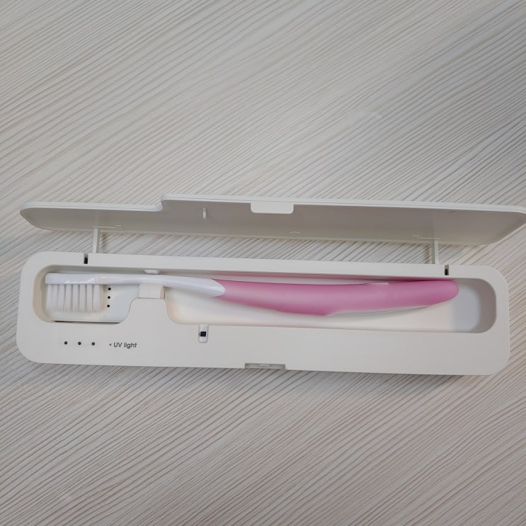  가성비 좋은 다이소 자외선 칫솔 살균기 후기