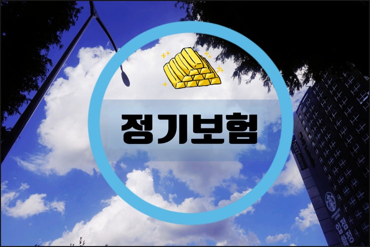  사망 정기보험 당신이 40대라면 필독