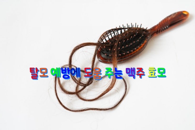  탈모 예방에 도움 주는 맥주 효모