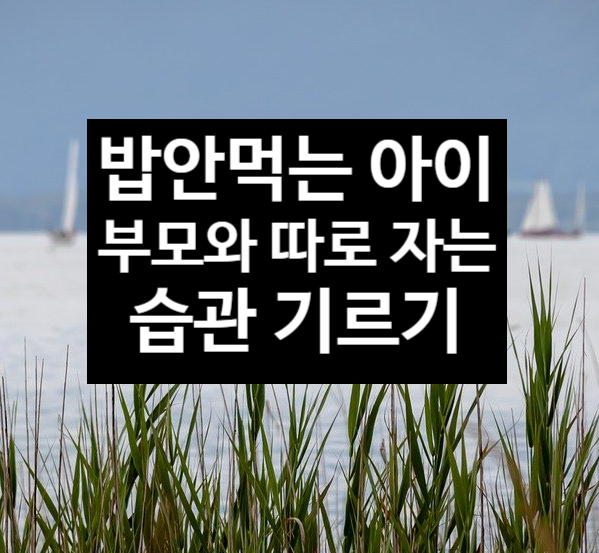  밥 안먹는 아이 및 부모와 따로 자는 습관 기르기