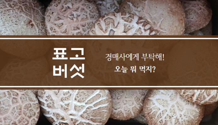  경매사에게 부탁해! 오늘은 뭐 먹어? (표고버섯)