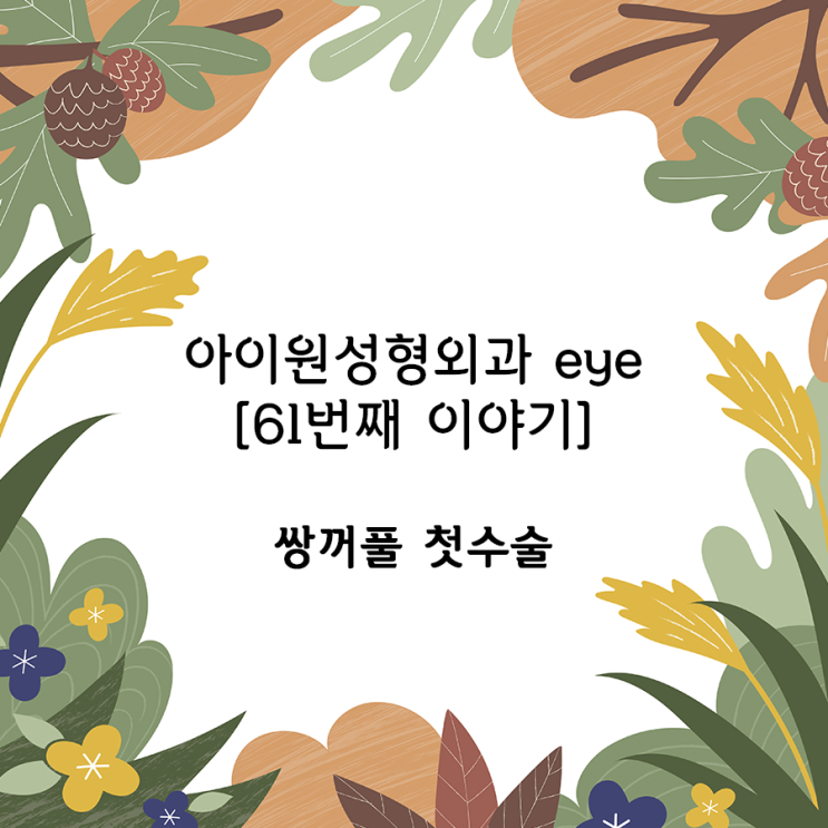 [아이원성형외과 eye] 쌍꺼풀 첫수술의 기초