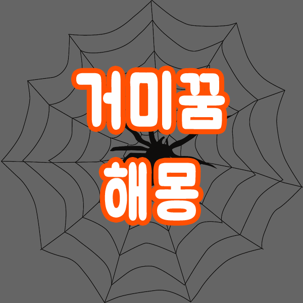  거미꿈 거미보는꿈 거미나오는꿈 해몽 알아보기