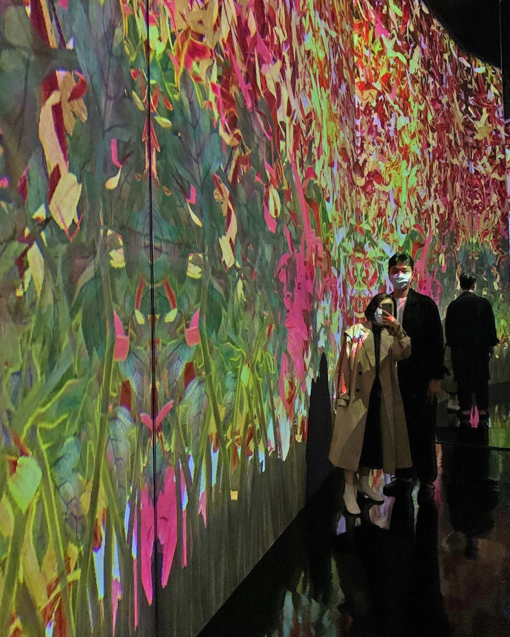  룸펜이 보고 온 서울, DDP 디디피 동대문디자인플라자 (팀랩 라이프 teamLab:LIFE)