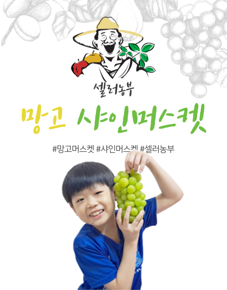  고당도 씨없는 샤인머스켓 망고포도 명절 선물세트 김천 샤인머스캣 