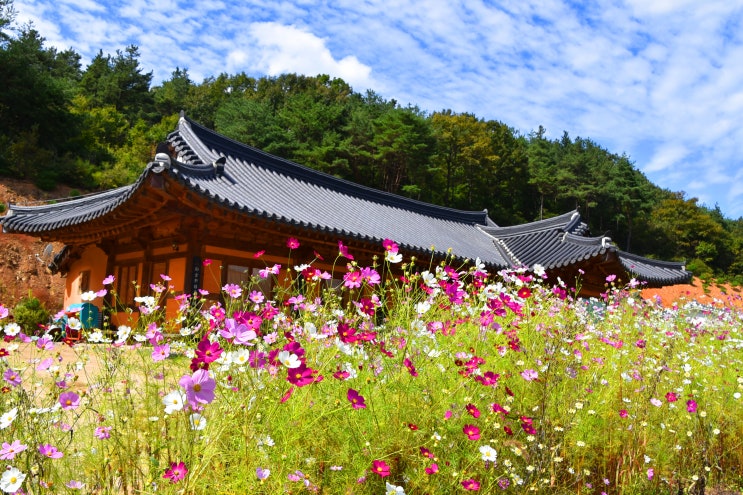  에산 쌍지암의 가을