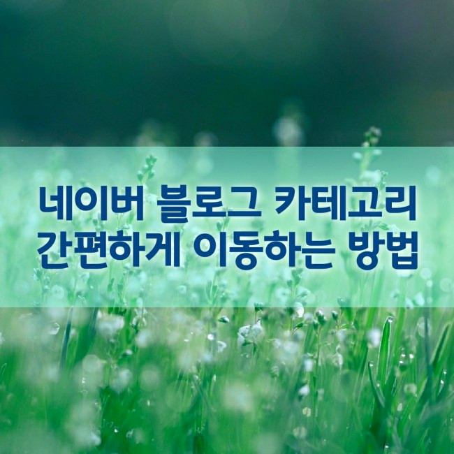  블로그 카테고리 글이동방법 쉽고 간편하게 따라해보세요