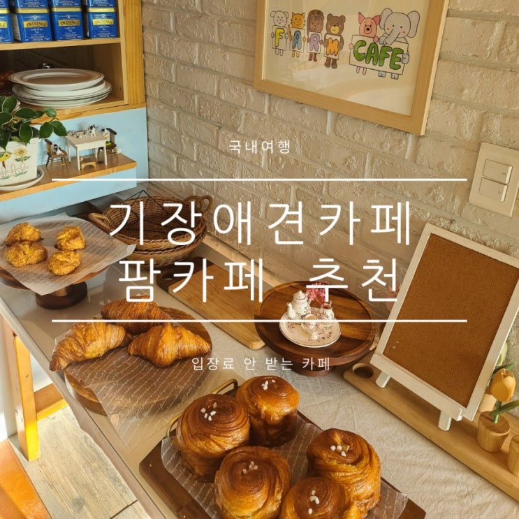 기장애견카페추천 팜카페 무료입장하는 애견운동장 기장애견카페추천 팜카페 무료입장하는 애견운동장