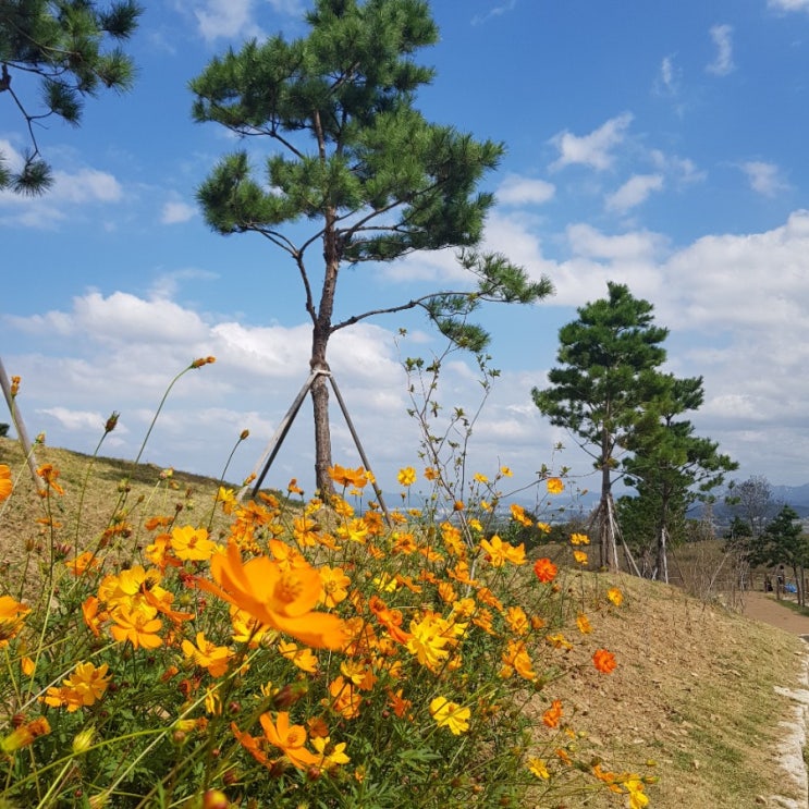  [인천] 산이 좋다! 도심 속 힐링여행 '계양산' 등산