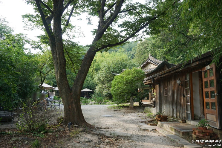  서울 근교 성남 오야동 한옥카페 [새소리물소리] 전통찻집