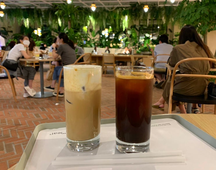  압구정로데오 카페 "밀도 청담점" 실내 정원 같은 브런치 맛집 (아아,바다소금라떼)