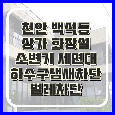  천안 상가 화장실 하수구냄새 벌레 막아드렸습니다.