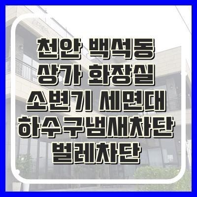 천안 상가 화장실 하수구냄새 벌레 막아드렸습니다.