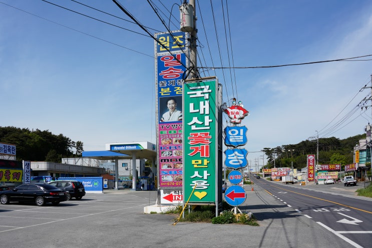  안면도맛집 - 일송꽃게장