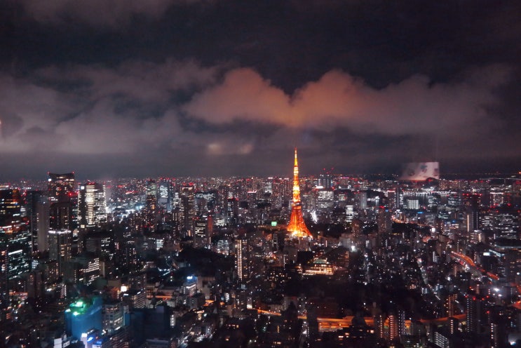 [도쿄 여행자] ⑨ 롯폰기힐스 모리타워에서 도시를 내려다보며 카레맛 컵라면을 떠올리다