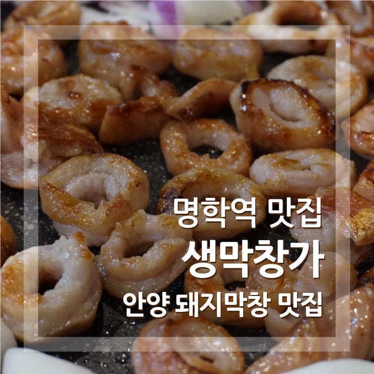  명학역맛집 생막창가 안양 막창 끝판왕이었어요