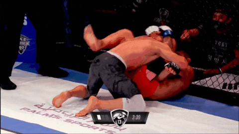 UAE 워리어즈 13: 김경표, 문기범, 헤비급 타이틀전 하이라이트(GIF) UAE 워리어즈 13: 김경표, 문기범, 헤비급 타이틀전 하이라이트(GIF)