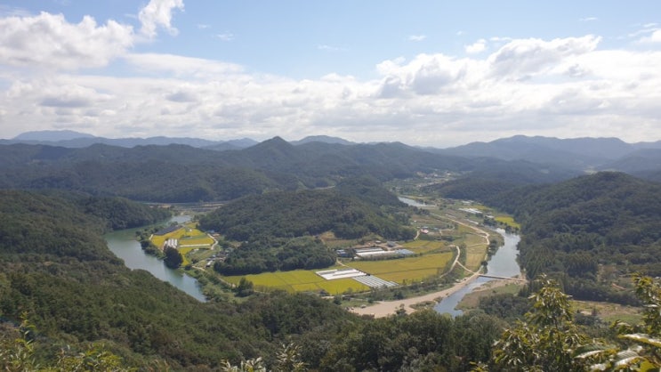  대전 등산코스 추천 구봉산 초보자를 위한 두시간 산책로