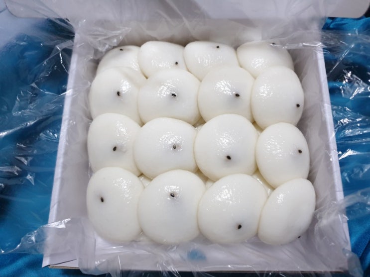  오산 보름기정떡 네이버쇼핑몰에서 주문하고 네이버페이받고 택배비 아끼세요