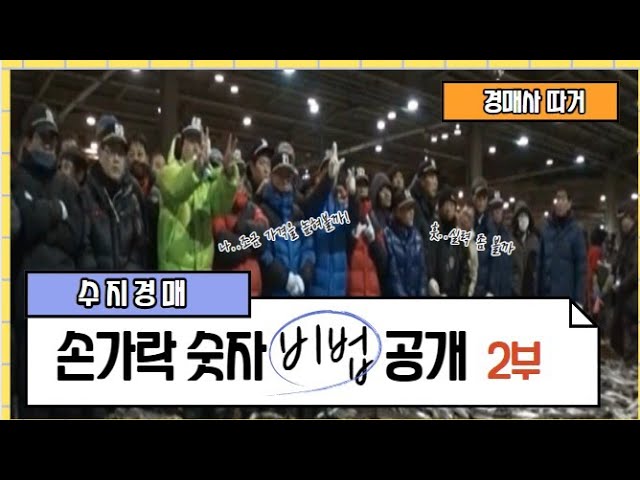  경매사가 알려드립니다. 수지경매 손가락 숫자비법 2부