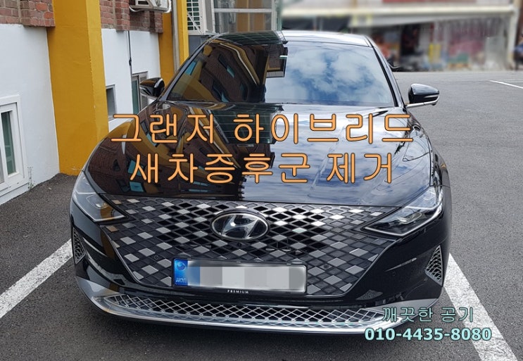  아산시 그랜저 하이브리드 신차 구입 후 새차증후군 제거, 가족의 건강을 위한 필수, 새차냄새 없애기