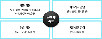  성병성전파성질환 대표적인9가지 원인증상발생률: 성병예방피임법 치료간호