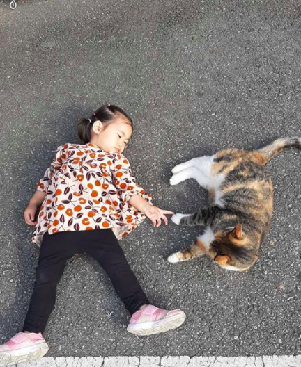  함소원 딸 혜정 나이 고양이와 소통 위해 길바닥에 누워..귀엽네요.