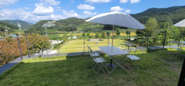  충주 카페 추천 / 예쁜 비채커피
