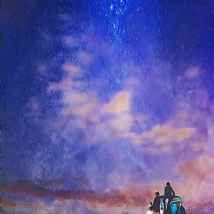 윈플즈의 별빛으로 그린 이야기 윈플즈의 별빛으로 그린 이야기