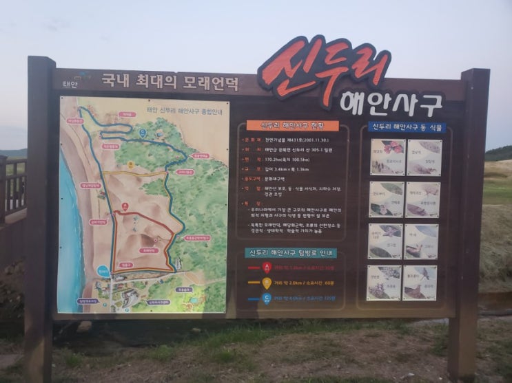  태안 신두리 해안사구