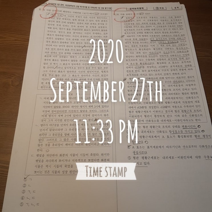  [코레일 필기] D-20