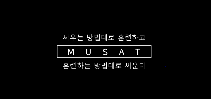  무사트 (MUSAT)  군대, 민간기업 어떤곳인가요?